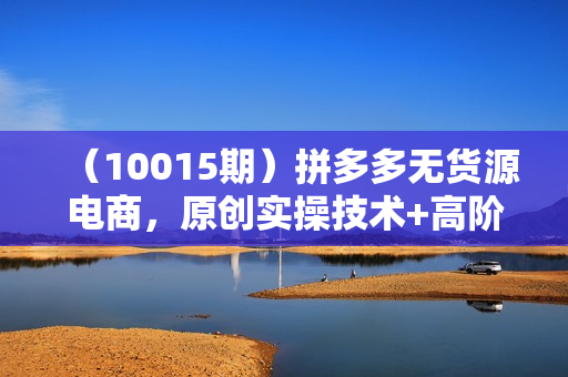 （10015期）拼多多无货源电商，原创实操技术+高阶更新（16节视频教程）