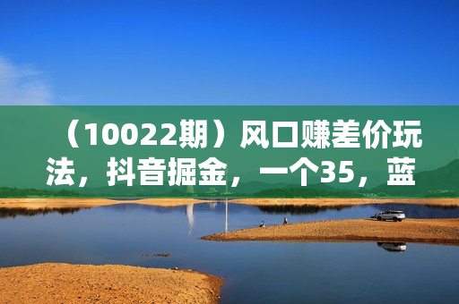 （10022期）风口赚差价玩法，抖音掘金，一个35，蓝海玩法，闷声发小财