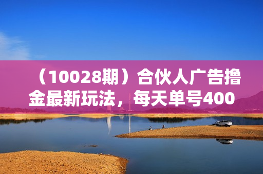 （10028期）合伙人广告撸金最新玩法，每天单号400纯利