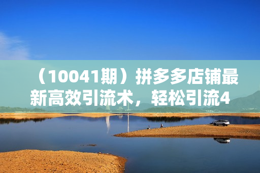 （10041期）拼多多店铺最新高效引流术，轻松引流400+创业粉，精准日变现五位数！