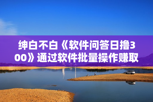 绅白不白《软件问答日撸300》通过软件批量操作赚取佣金