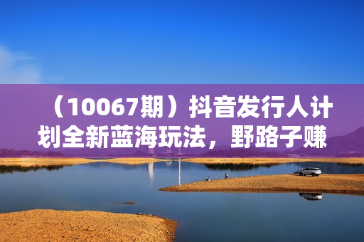 （10067期）抖音发行人计划全新蓝海玩法，野路子赚取收益，一单35，日入上千很简单!