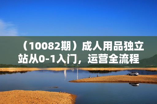 （10082期）成人用品独立站从0-1入门，运营全流程教学，七大好卖成品独立站推荐-6节课