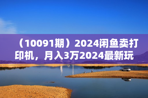 （10091期）2024闲鱼卖打印机，月入3万2024最新玩法