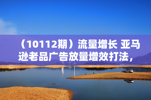 （10112期）流量增长 亚马逊老品广告放量增效打法，短期内广告销量翻倍（3堂直播课）