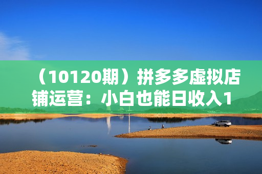 （10120期）拼多多虚拟店铺运营：小白也能日收入1000+