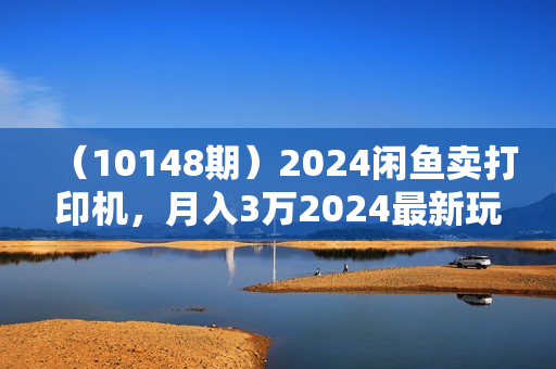 （10148期）2024闲鱼卖打印机，月入3万2024最新玩法