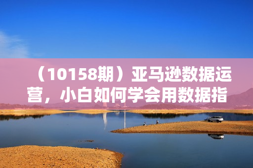 （10158期）亚马逊数据运营，小白如何学会用数据指导运营（10节课+资料数据）