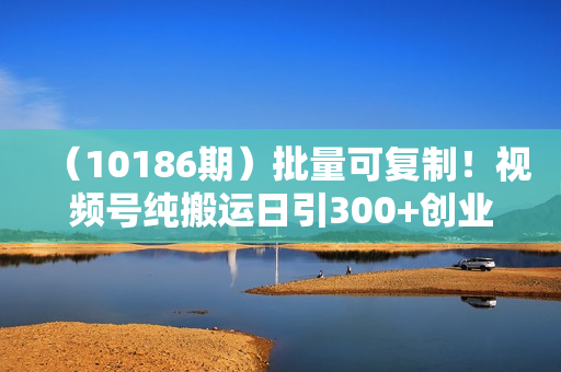 （10186期）批量可复制！视频号纯搬运日引300+创业粉教程！