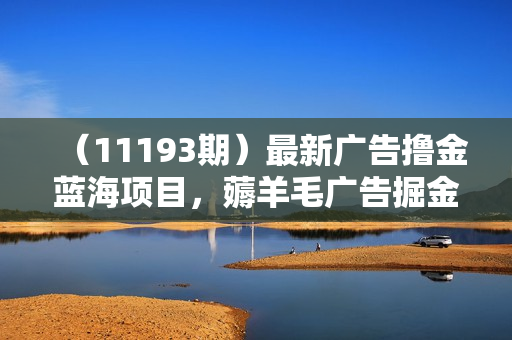 （11193期）最新广告撸金蓝海项目，薅羊毛广告掘金 长期项目 批量操作月入2W＋