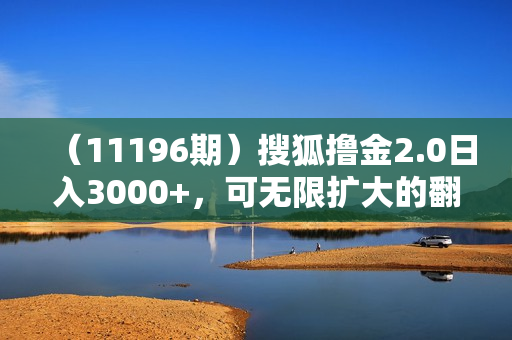 （11196期）搜狐撸金2.0日入3000+，可无限扩大的翻身项目
