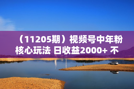 （11205期）视频号中年粉核心玩法 日收益2000+ 不投流小白轻松上手