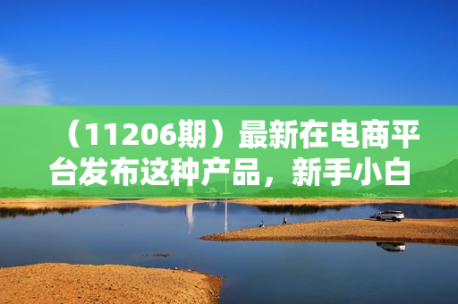 （11206期）最新在电商平台发布这种产品，新手小白日入3000+不成问题，最详细赚钱教学