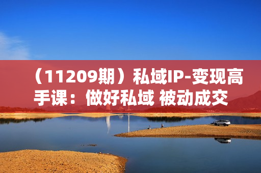 （11209期）私域IP-变现高手课：做好私域 被动成交，打造好朋友圈做好社群（18节）