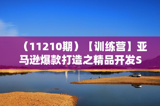 （11210期）【训练营】亚马逊爆款打造之精品开发SOP，系统化洞察亚马逊精品选品全流程