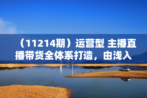 （11214期）运营型 主播直播带货全体系打造，由浅入深学习主播四大能力（9节）