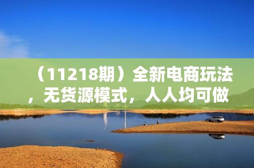 （11218期）全新电商玩法，无货源模式，人人均可做电商！日入1000+