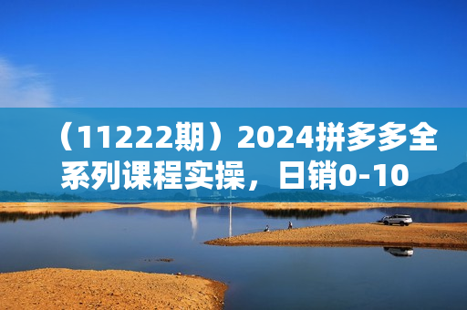 （11222期）2024拼多多全系列课程实操，日销0-100单实操【16节课】