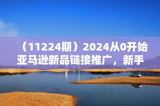 （11224期）2024从0开始亚马逊新品链接推广，新手小白快速推广新品的必备-15节