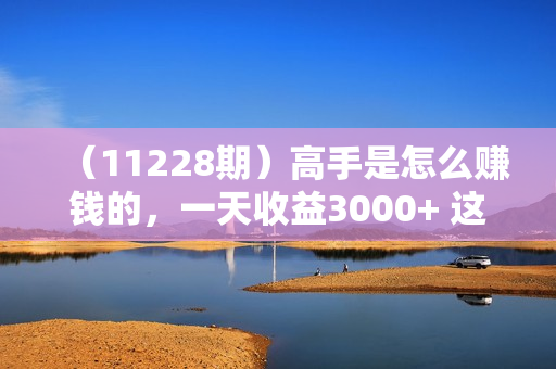 （11228期）高手是怎么赚钱的，一天收益3000+ 这是穷人逆风翻盘的一个项目，非常