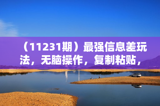 （11231期）最强信息差玩法，无脑操作，复制粘贴，一单利润100+，小众而刚需，做就