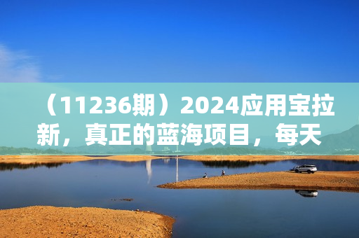 （11236期）2024应用宝拉新，真正的蓝海项目，每天动动手指，日入5000+