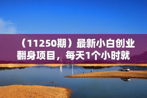 （11250期）最新小白创业翻身项目，每天1个小时就能月入1万+，0门槛，一部手机就能