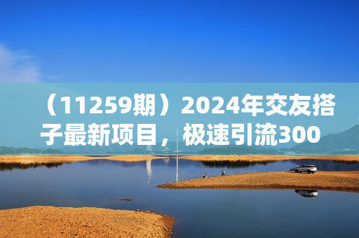 （11259期）2024年交友搭子最新项目，极速引流300+搭子粉，简单粗暴，好学好上手