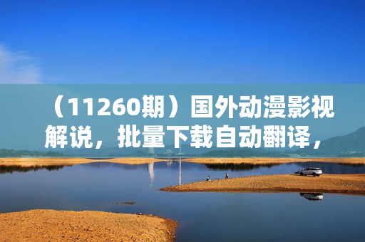 （11260期）国外动漫影视解说，批量下载自动翻译，纯搬运稳定过原创，小白也能轻松