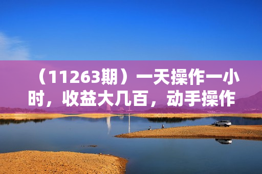 （11263期）一天操作一小时，收益大几百，动手操作就能赚，月入2万+教学