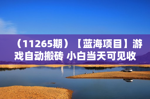 （11265期）【蓝海项目】游戏自动搬砖 小白当天可见收益 单机也能批量操作 学会操