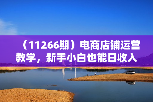 （11266期）电商店铺运营教学，新手小白也能日收入2000+，电商老板不愿意告诉你的机密