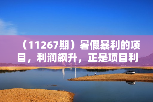 （11267期）暑假暴利的项目，利润飙升，正是项目利润爆发时期。市场很大，一单利