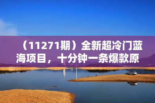 （11271期）全新超冷门蓝海项目，十分钟一条爆款原创，有人靠这个月入2w＋
