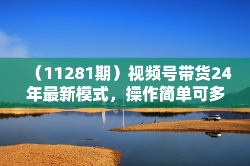 （11281期）视频号带货24年最新模式，操作简单可多账号分发，轻轻松松日入2000+