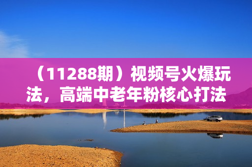 （11288期）视频号火爆玩法，高端中老年粉核心打法，无脑操作，一天十分钟，月入两万