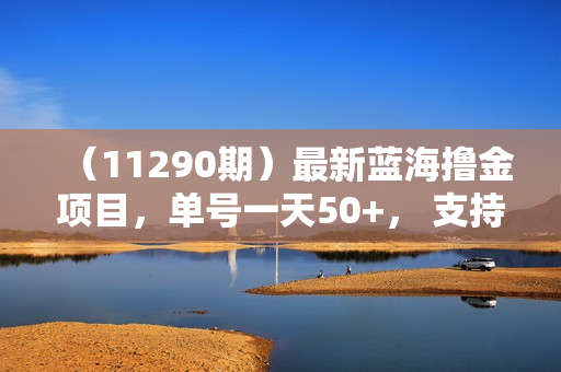 （11290期）最新蓝海撸金项目，单号一天50+， 支持苹果安卓双端，小白轻松上手 当