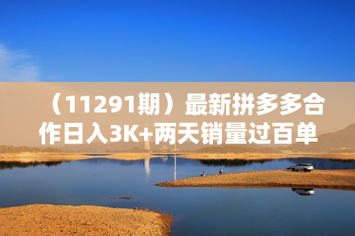 （11291期）最新拼多多合作日入3K+两天销量过百单，无学费、老运营代操作、小白福利