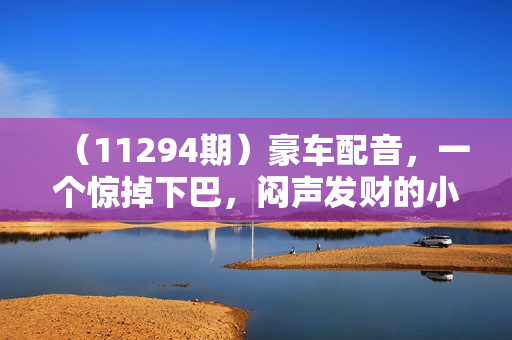 （11294期）豪车配音，一个惊掉下巴，闷声发财的小生意，日赚500+