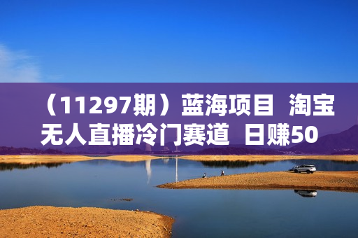 （11297期）蓝海项目  淘宝无人直播冷门赛道  日赚500+无脑躺赚  小白有手就行