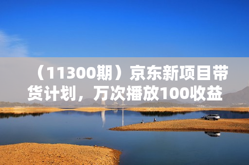 （11300期）京东新项目带货计划，万次播放100收益，只需要一键搬运，轻松上手