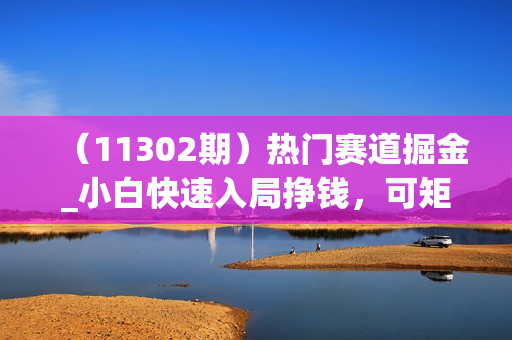 （11302期）热门赛道掘金_小白快速入局挣钱，可矩阵【完整实操】