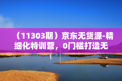 （11303期）京东无货源-精细化特训营，0门槛打造无货源爆款 可复制放大做店群