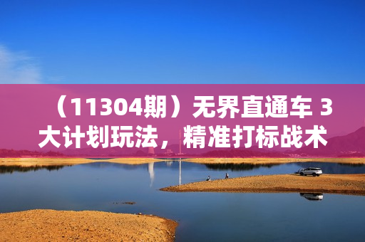 （11304期）无界直通车 3大计划玩法，精准打标战术/行业拉新战术/店铺回流战术