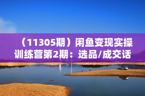 （11305期）闲鱼变现实操训练营第2期：选品/成交话术/打造爆款/精细运营/私域引流