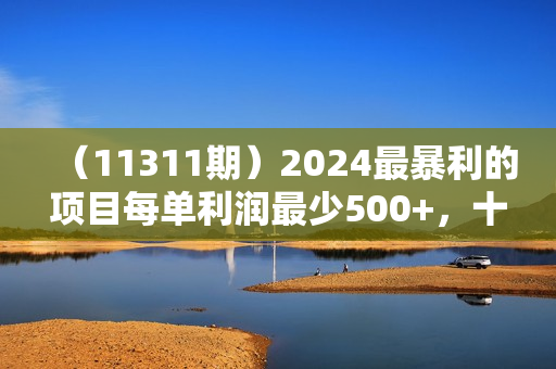 （11311期）2024最暴利的项目每单利润最少500+，十几分钟可操作一单，每天可批量