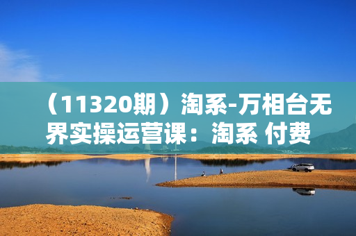 （11320期）淘系-万相台无界实操运营课：淘系 付费工具课（40节课）