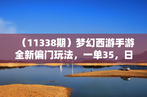 （11338期）梦幻西游手游全新偏门玩法，一单35，日入3000+