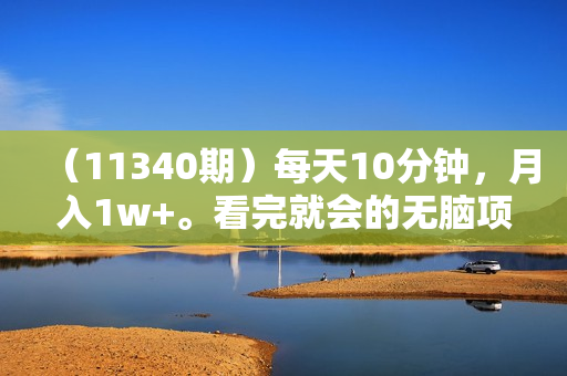 （11340期）每天10分钟，月入1w+。看完就会的无脑项目