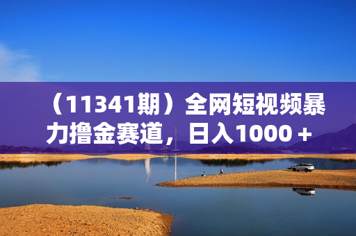 （11341期）全网短视频暴力撸金赛道，日入1000＋！原创玩法，长期稳定